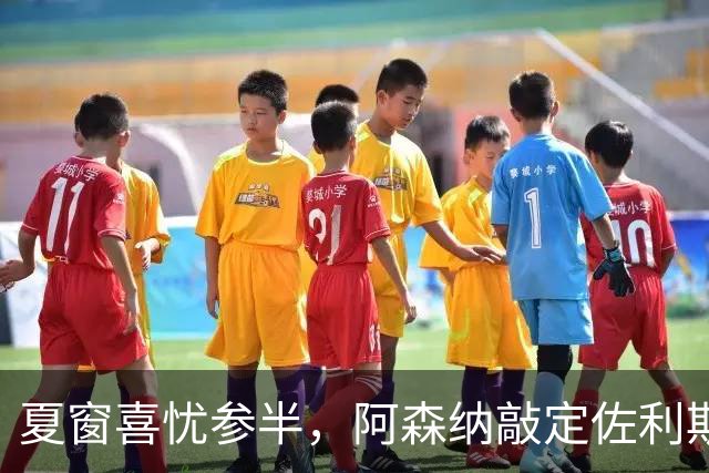 夏窗喜忧参半，阿森纳敲定佐利斯，错失罗杰斯，吉马良斯谈判遇阻