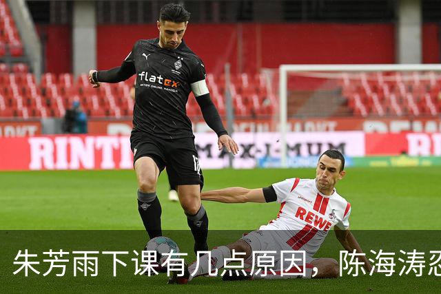 朱芳雨下课有几点原因，陈海涛忍无可忍，让儿子陈浩峰接任总经理