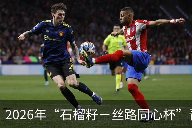 2026年“石榴籽－丝路同心杯”青少年足球邀请赛即将开赛